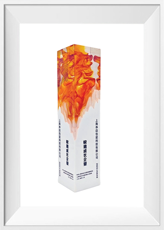 2023年松江急成長企業賞